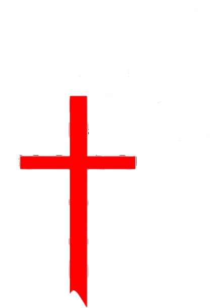 AfAN emblem